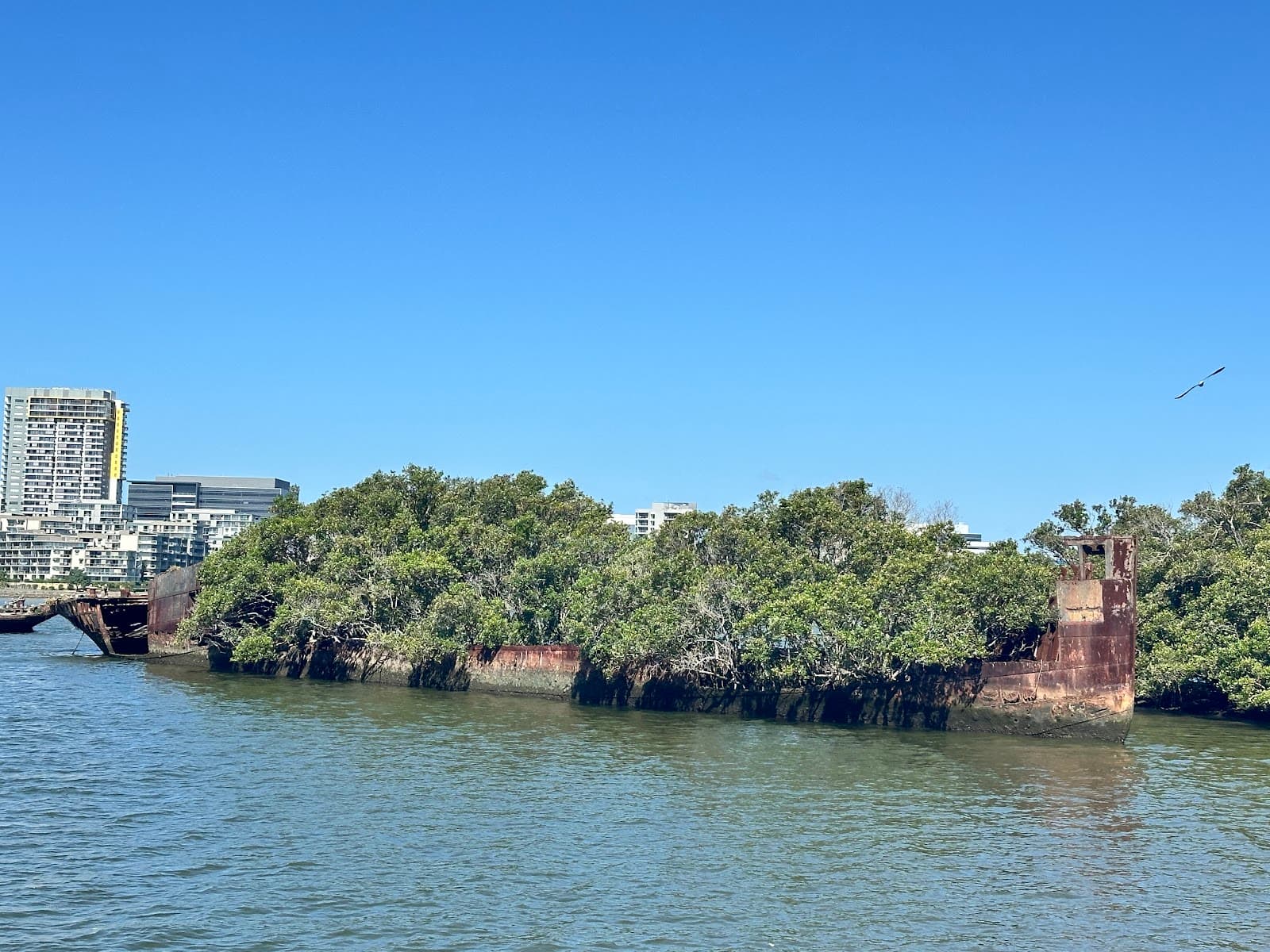 Shipwrecks of Homebush Bay - Image 1