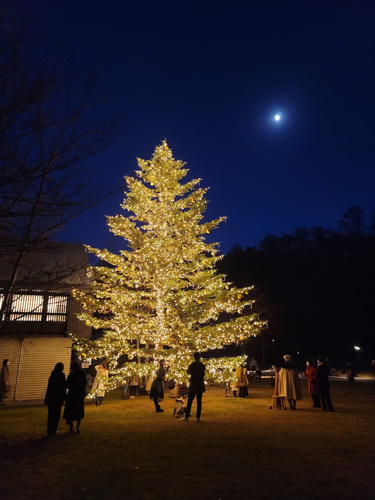 Hoshino Area - Image 1