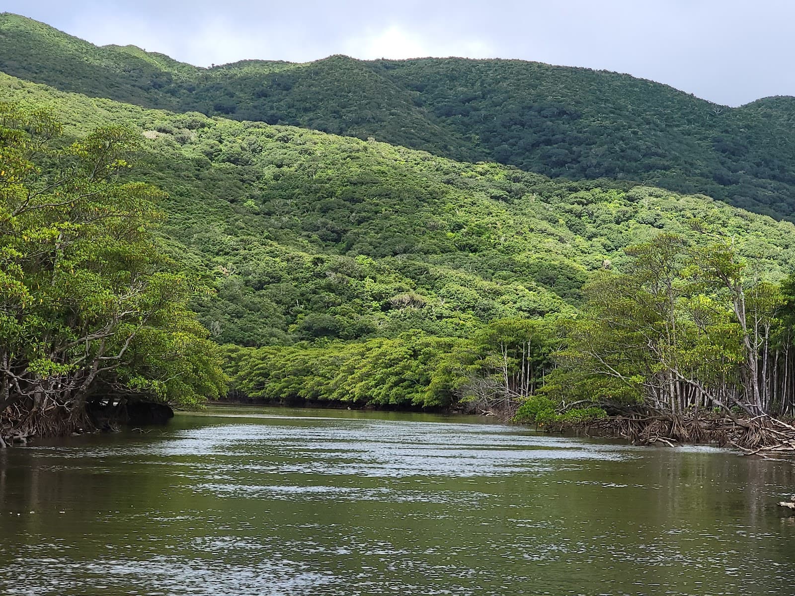 Nakama River Iriomote Island - Image 1