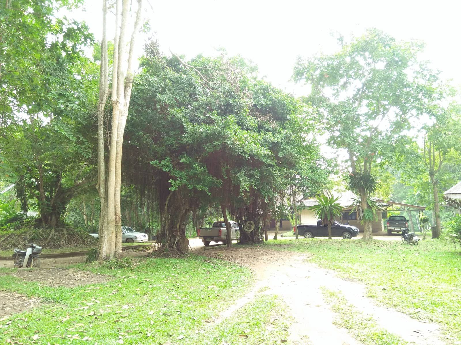 Serene Natural Landscapes