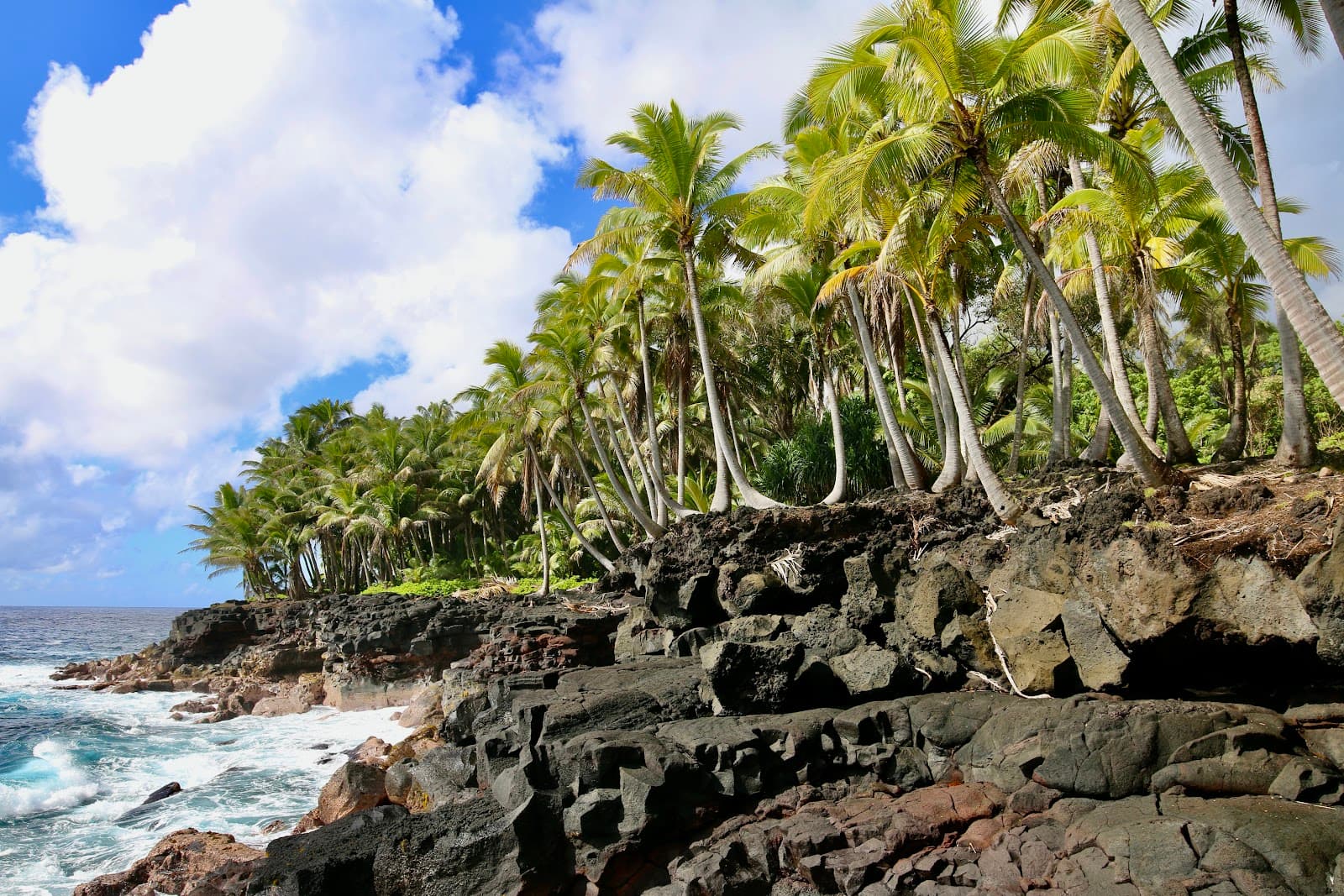 Red Road (Kapoho–Kalapana Scenic Byway) - Image 1