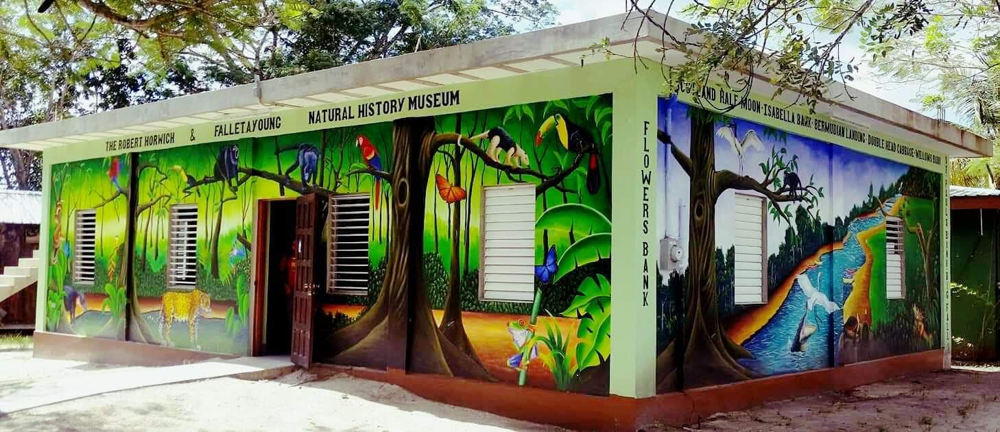 Community Baboon Sanctuary Belize - Image 1