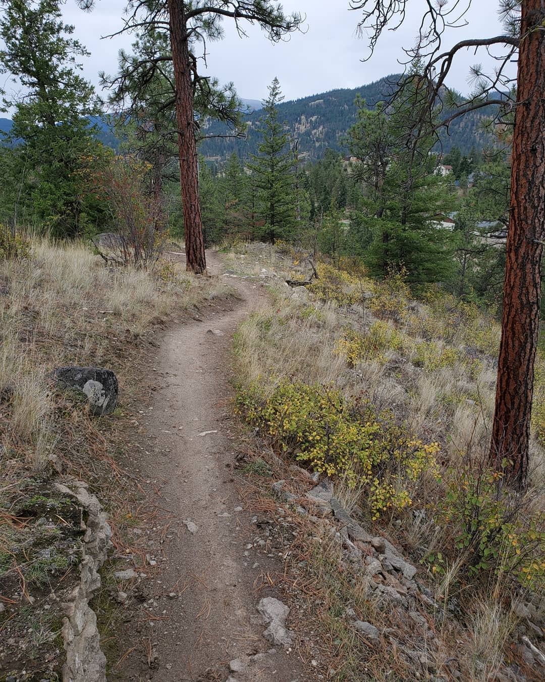Newer Ridge Section