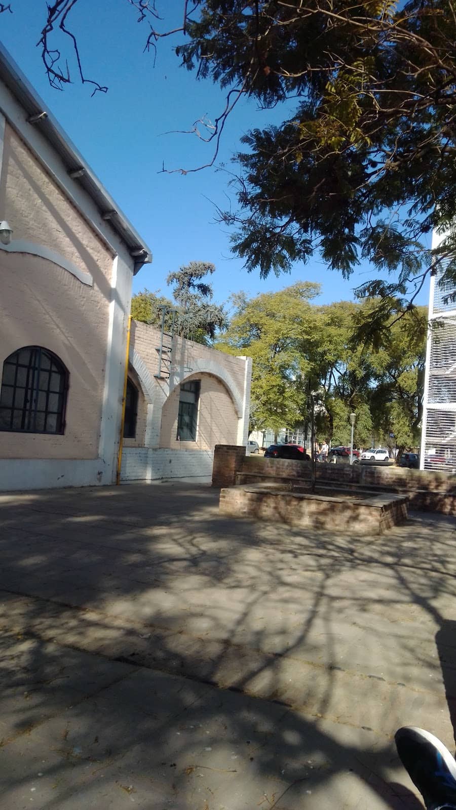 Museo Universitario Arte Contemporáneo (MUAC)