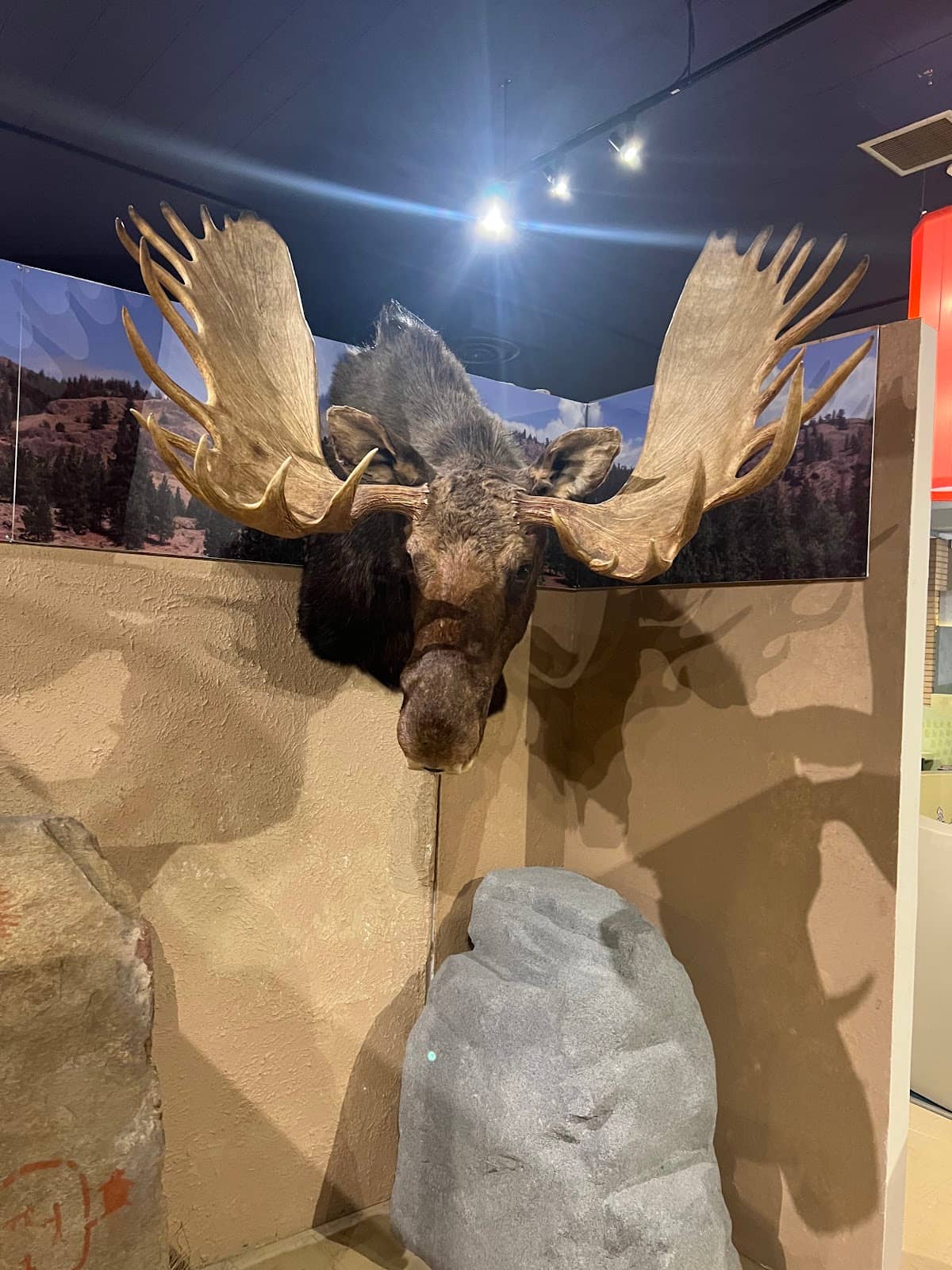 Local History Exhibits