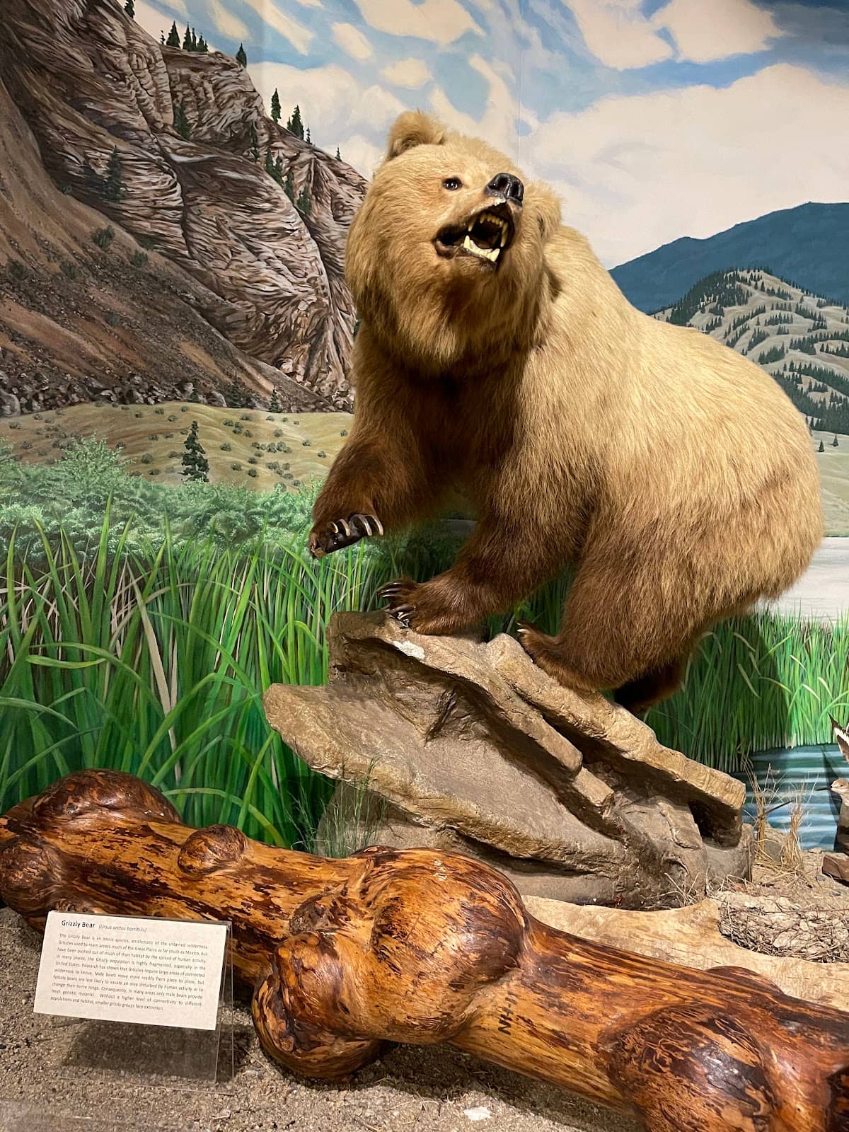 Donation-Based Admission