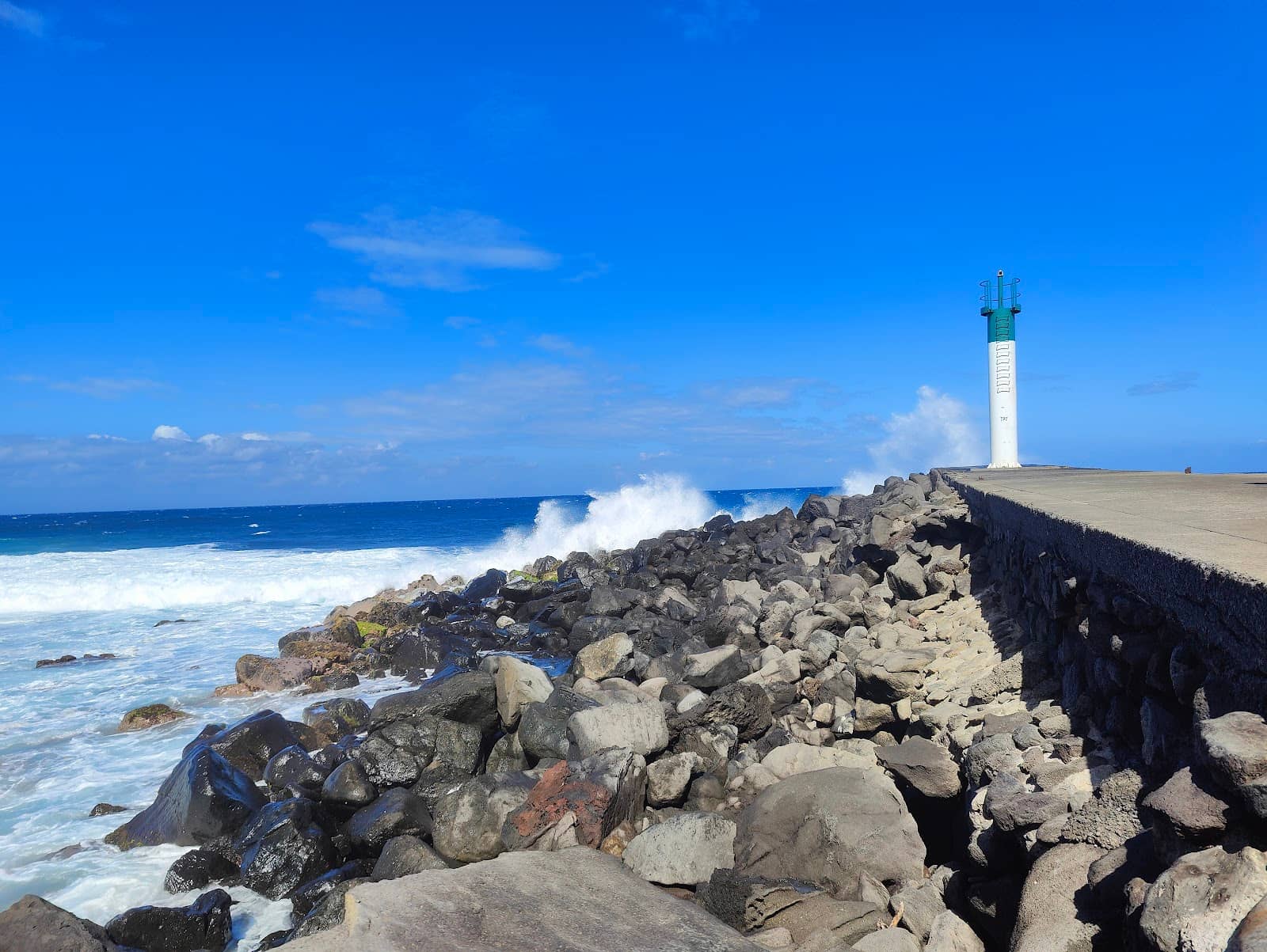 Low Tide Reef Exploration