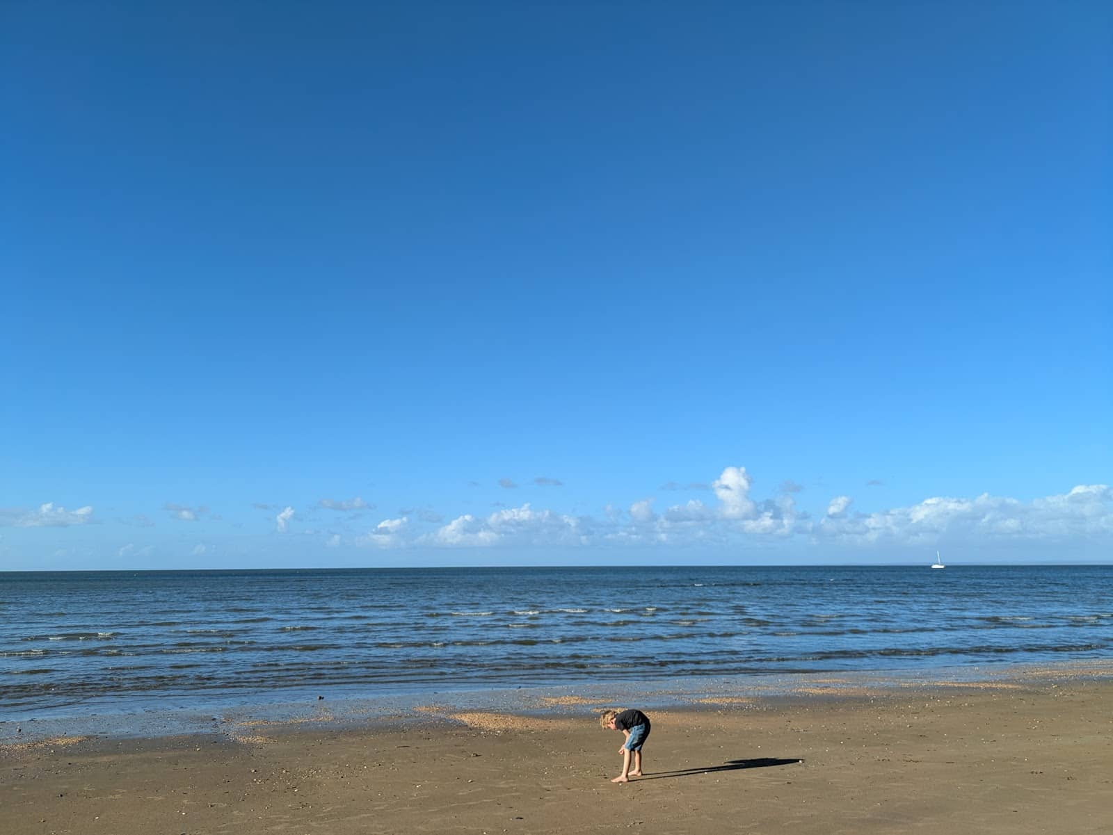 Fruit Bat Colony Viewing