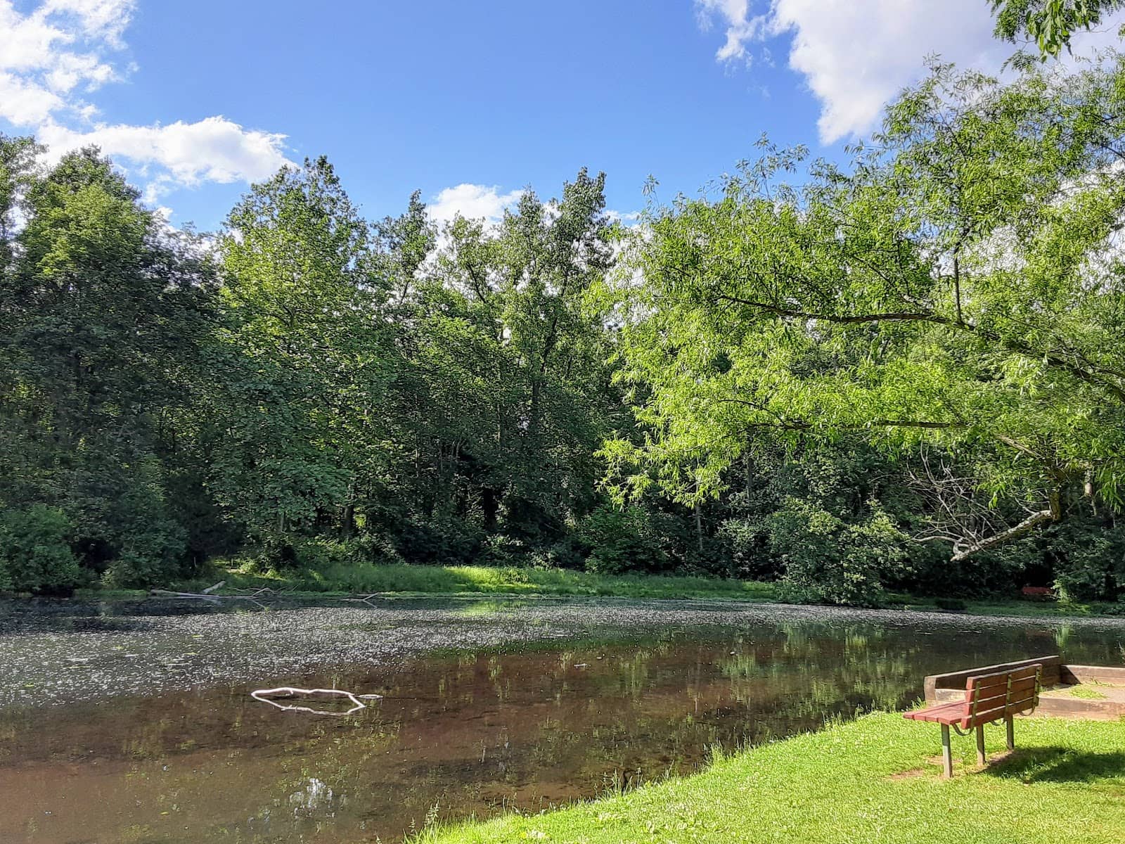 Meditative Streams