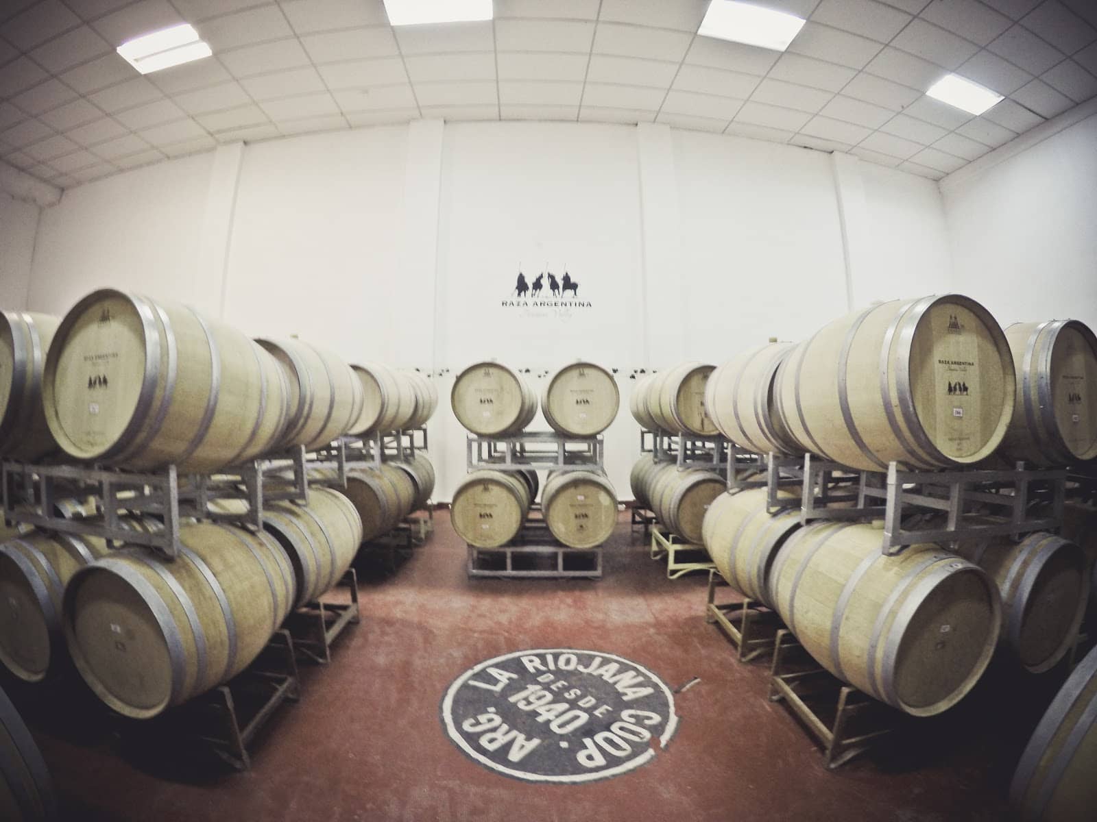 Unique Non-Alcoholic Options