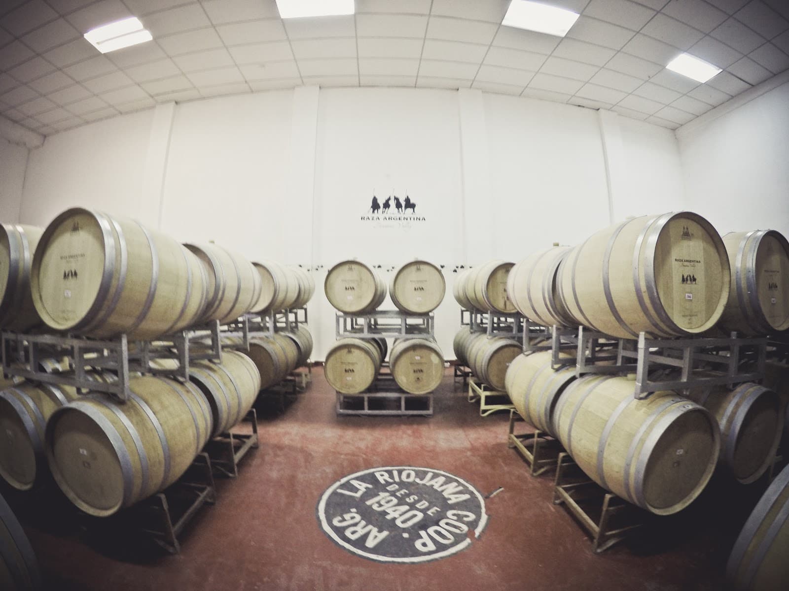 La Riojana Winery - Image 1