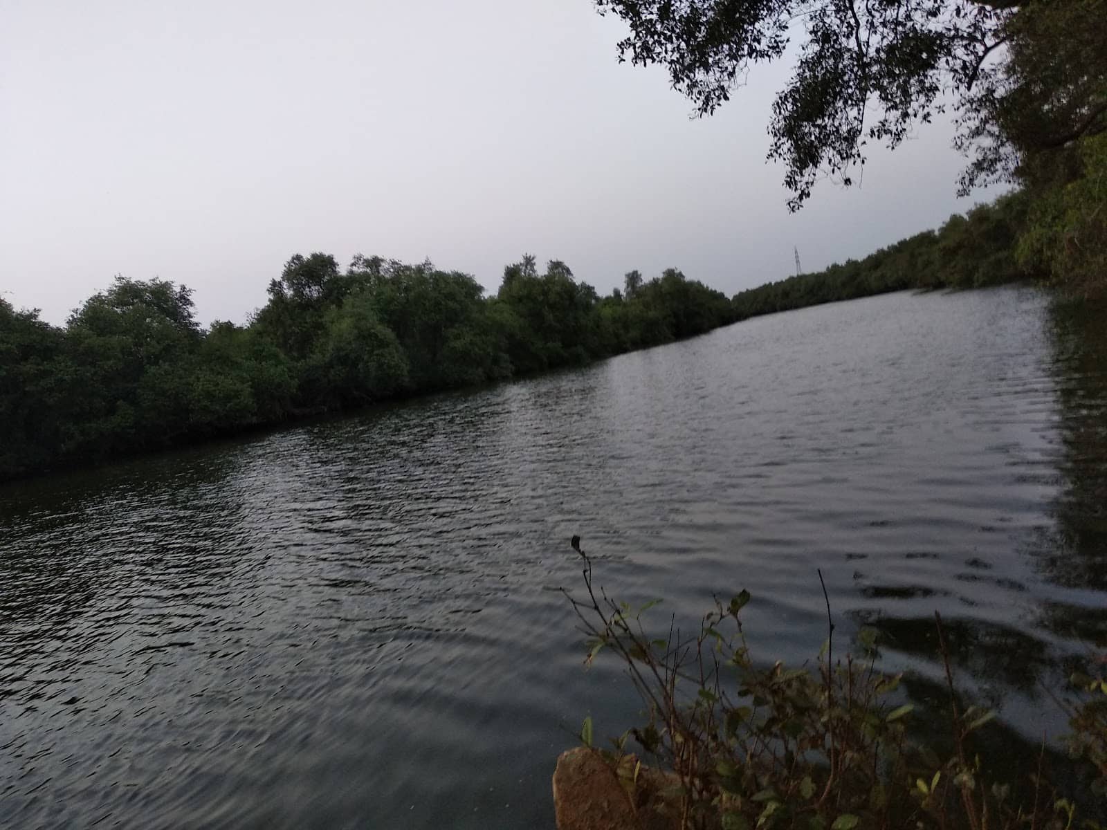 River Delta Scenery
