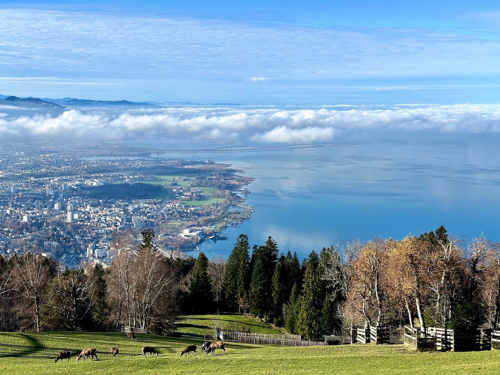 Pfänder Ridge Trail Bregenz - Image 1