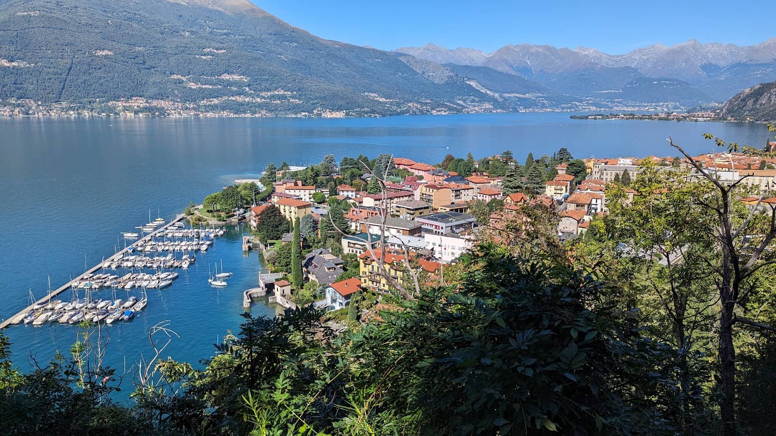 Mondonico Hamlet