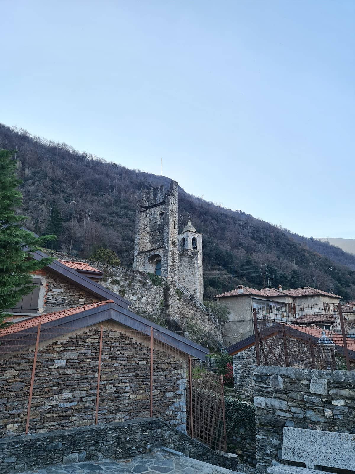 Vertical photo