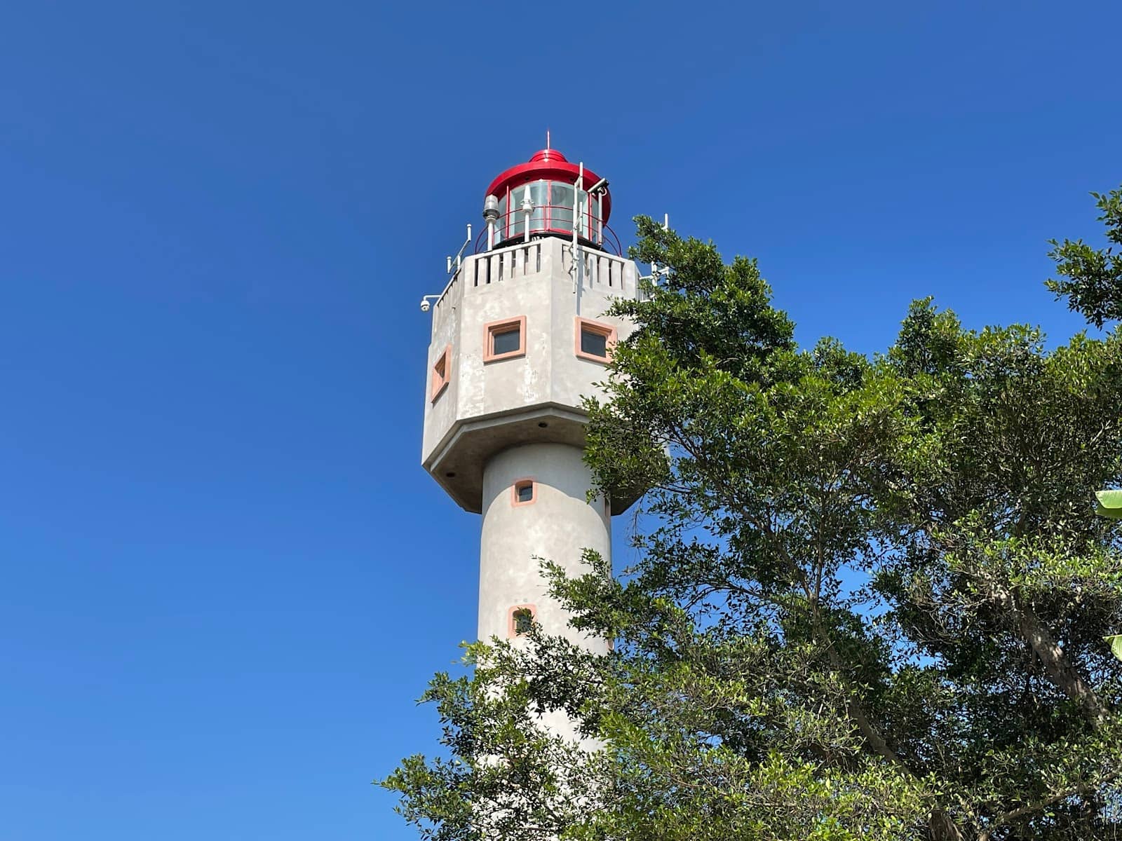 Vertical photo