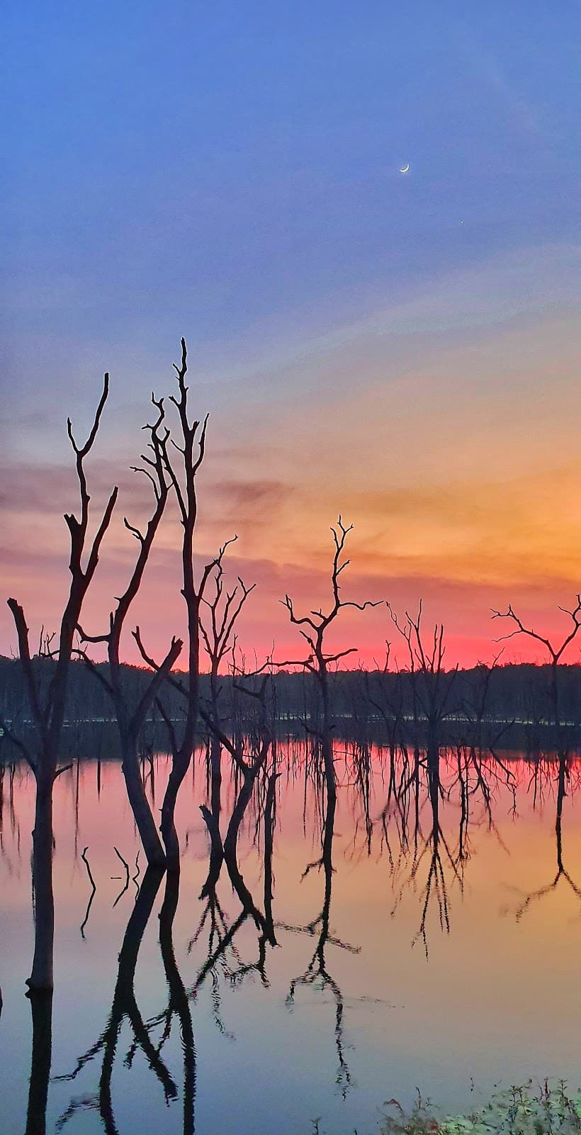 Barnawapara Wildlife Sanctuary - Image 1