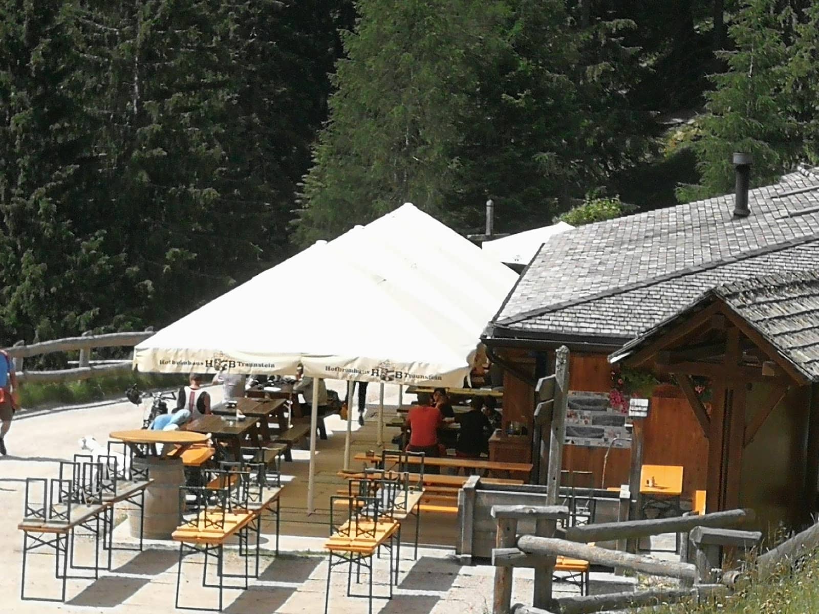 Mountain Pasture Ambiance