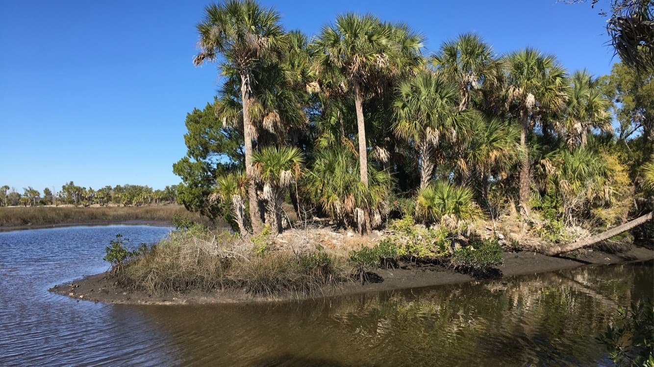 Redfish Hole Trail Crystal River Preserve - Image 1