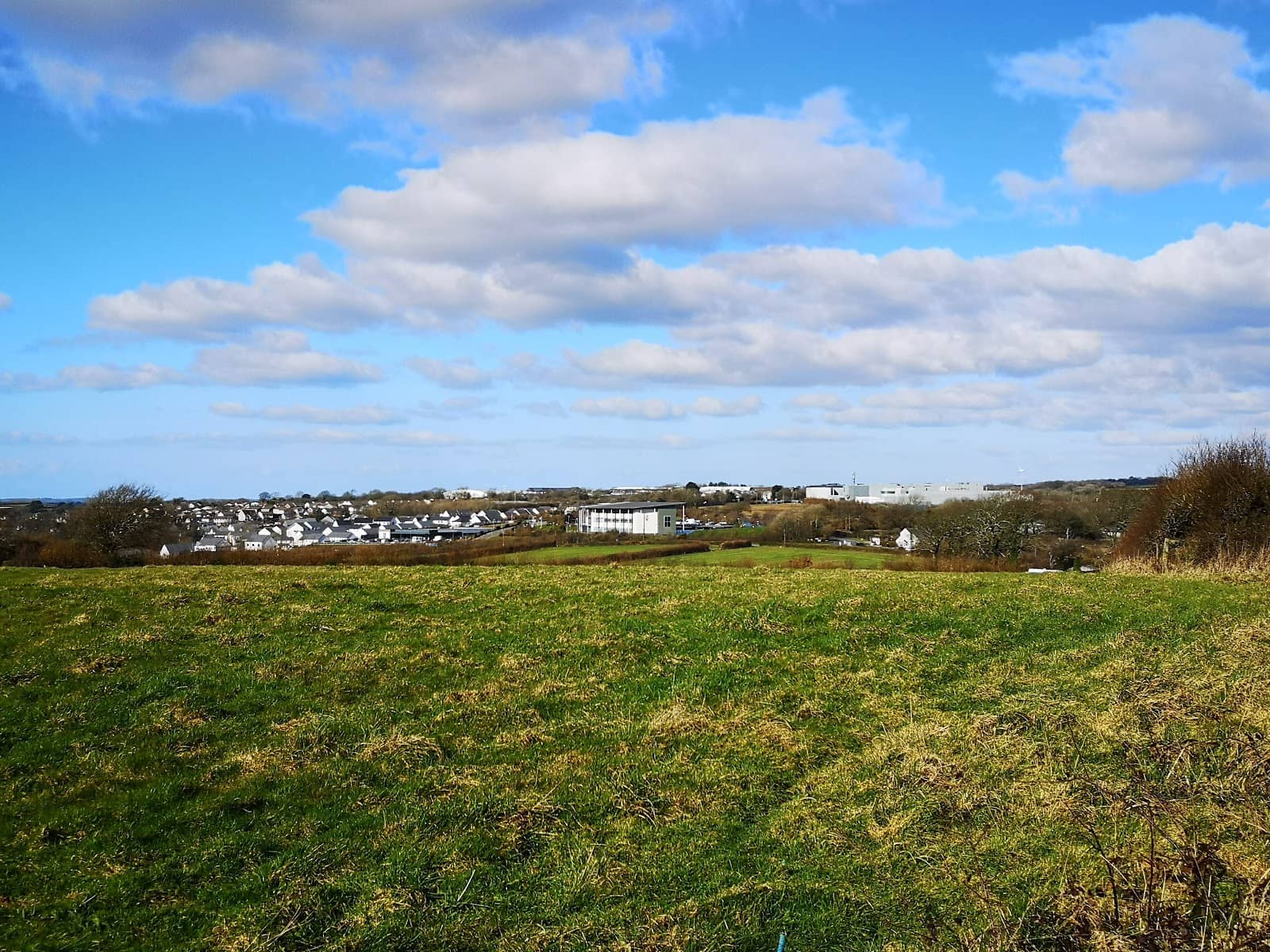 Panoramic Viewpoint