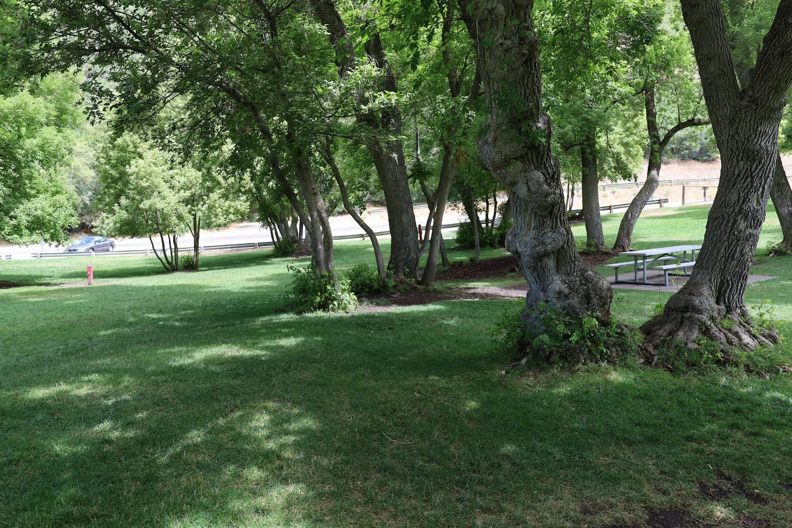 Penitente Canyon Adventures