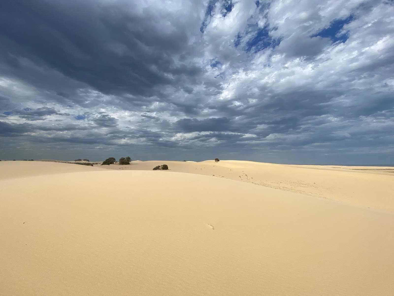 Stockton Sand Dunes (Worimi) - Image 1