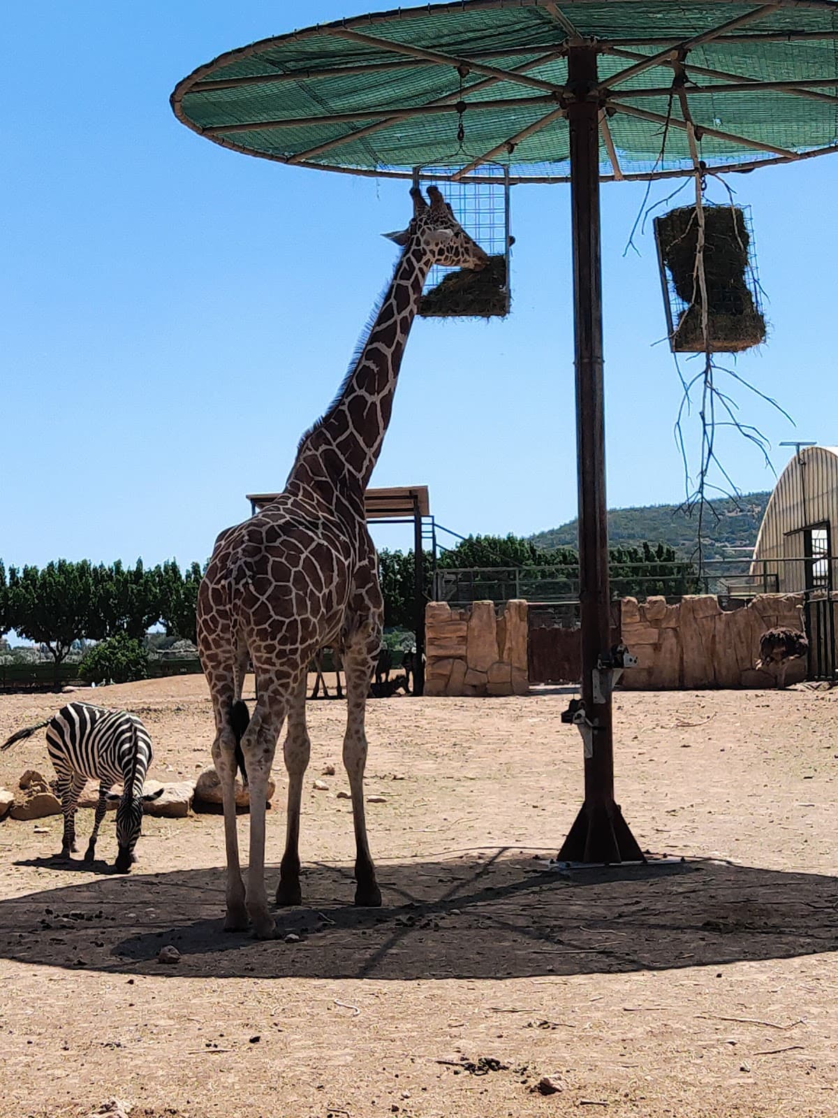 Zoodochou Pigis Street - Image 1