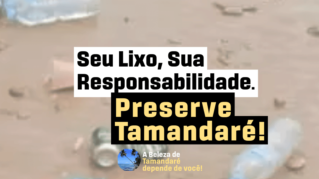 Tamandaré Beach - Image 1