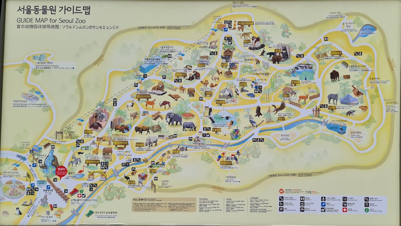 Seoul Zoo Seoul - Image 1