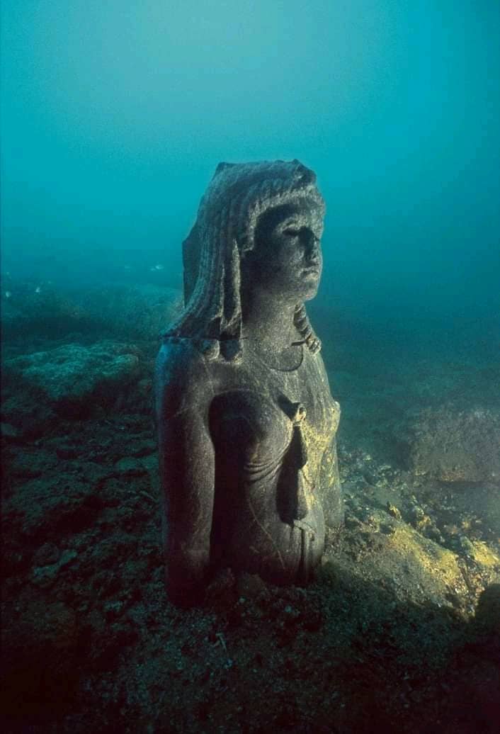 Canopus Artifacts