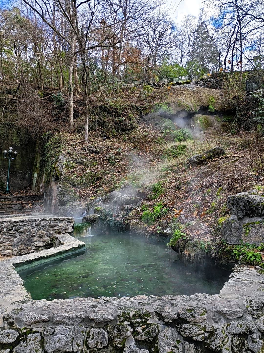 Arlington Lawn - Image 1