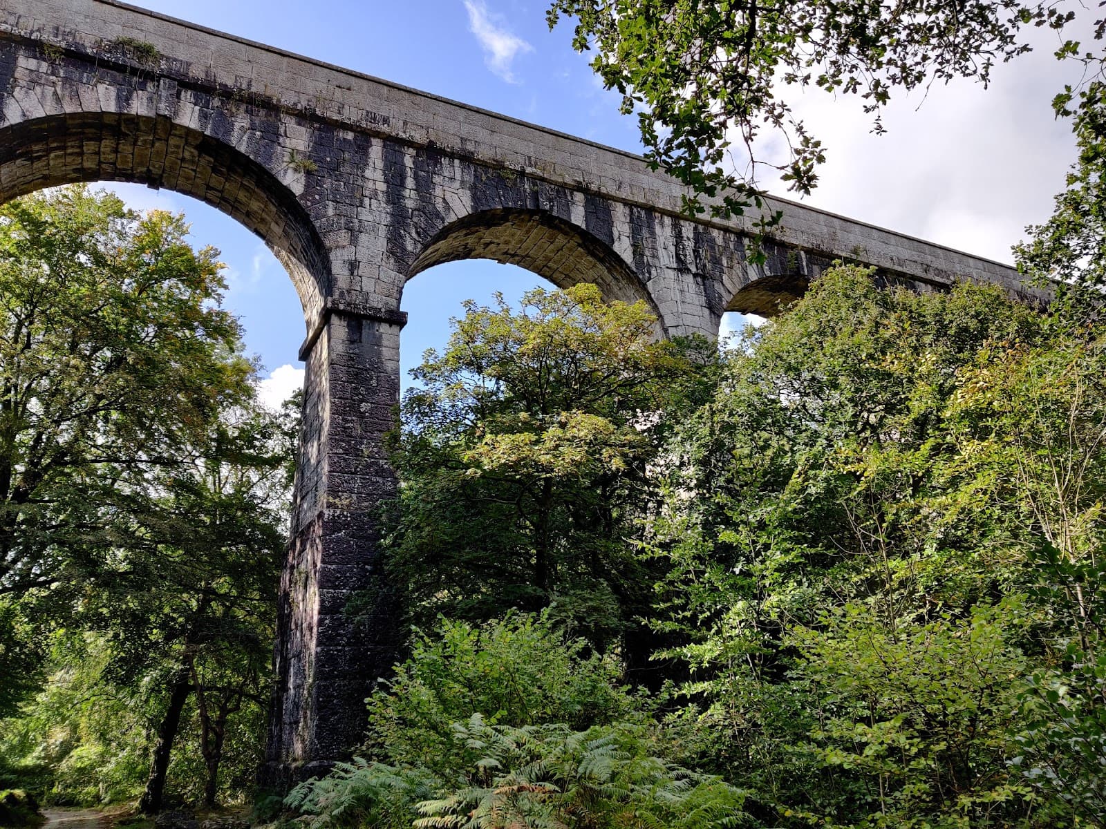 Luxulyan Valley & Treffry Viaduct - Image 1