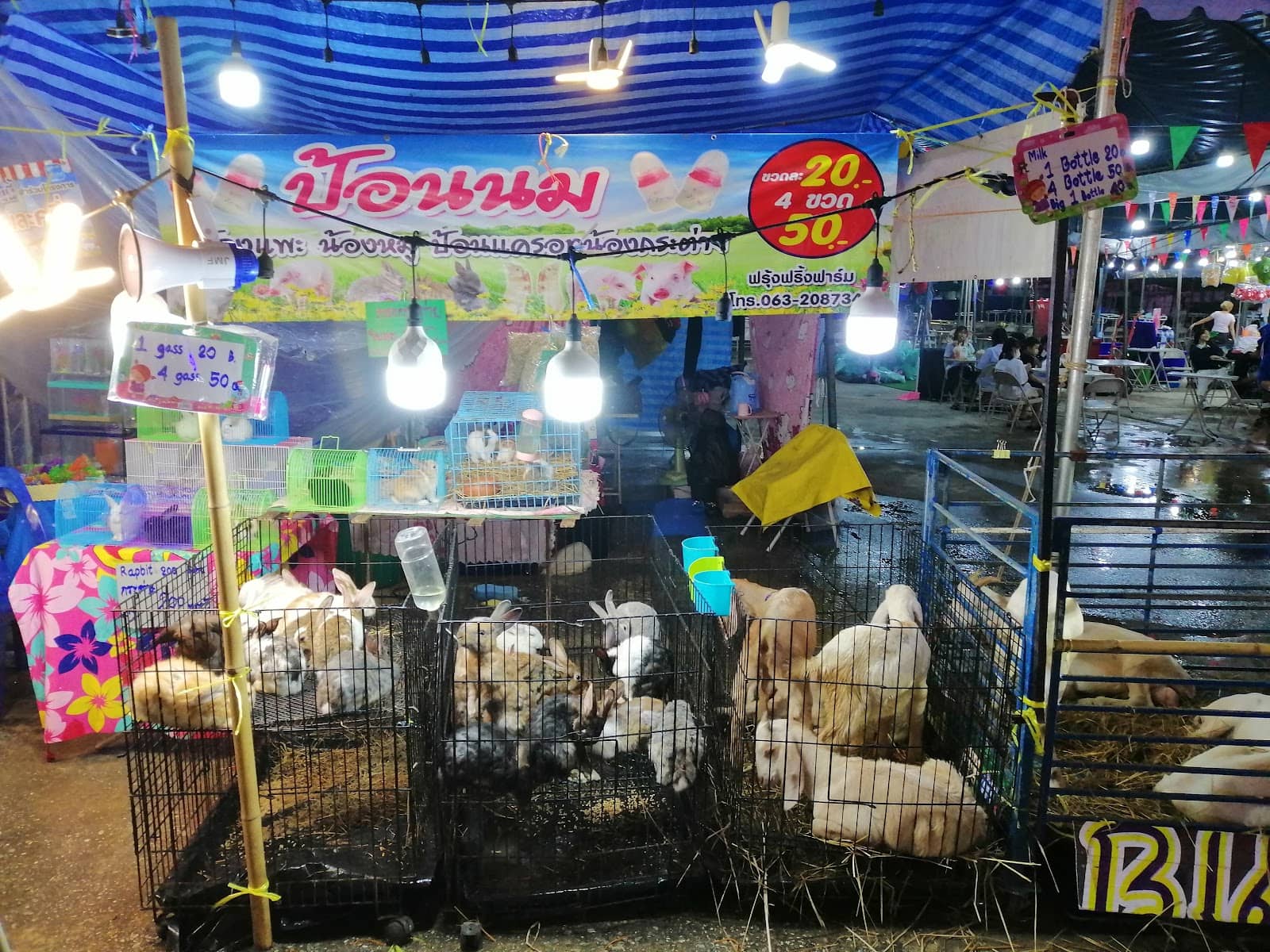Trendy Fashion & Souvenirs