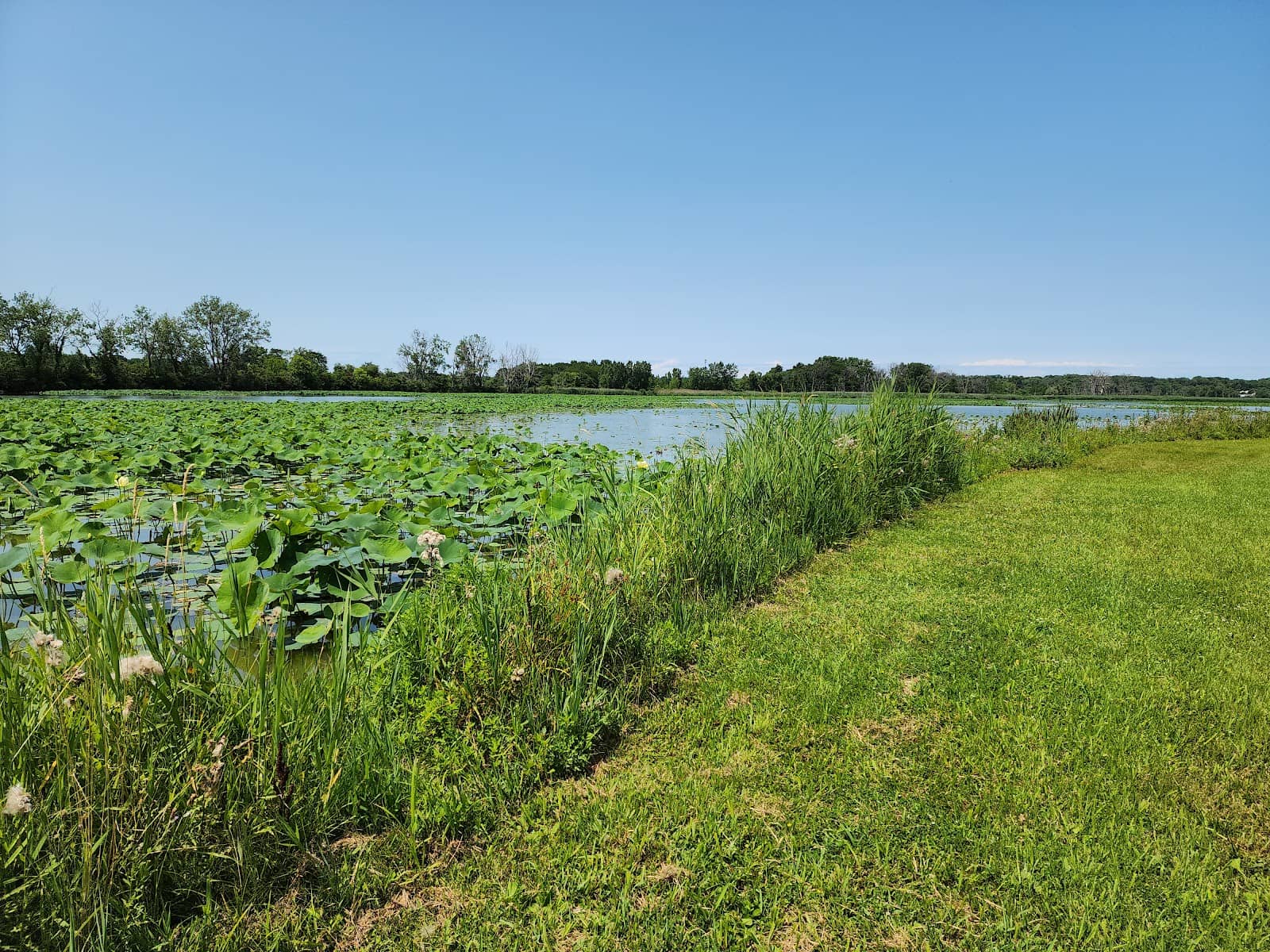 Scenic Paved Trails