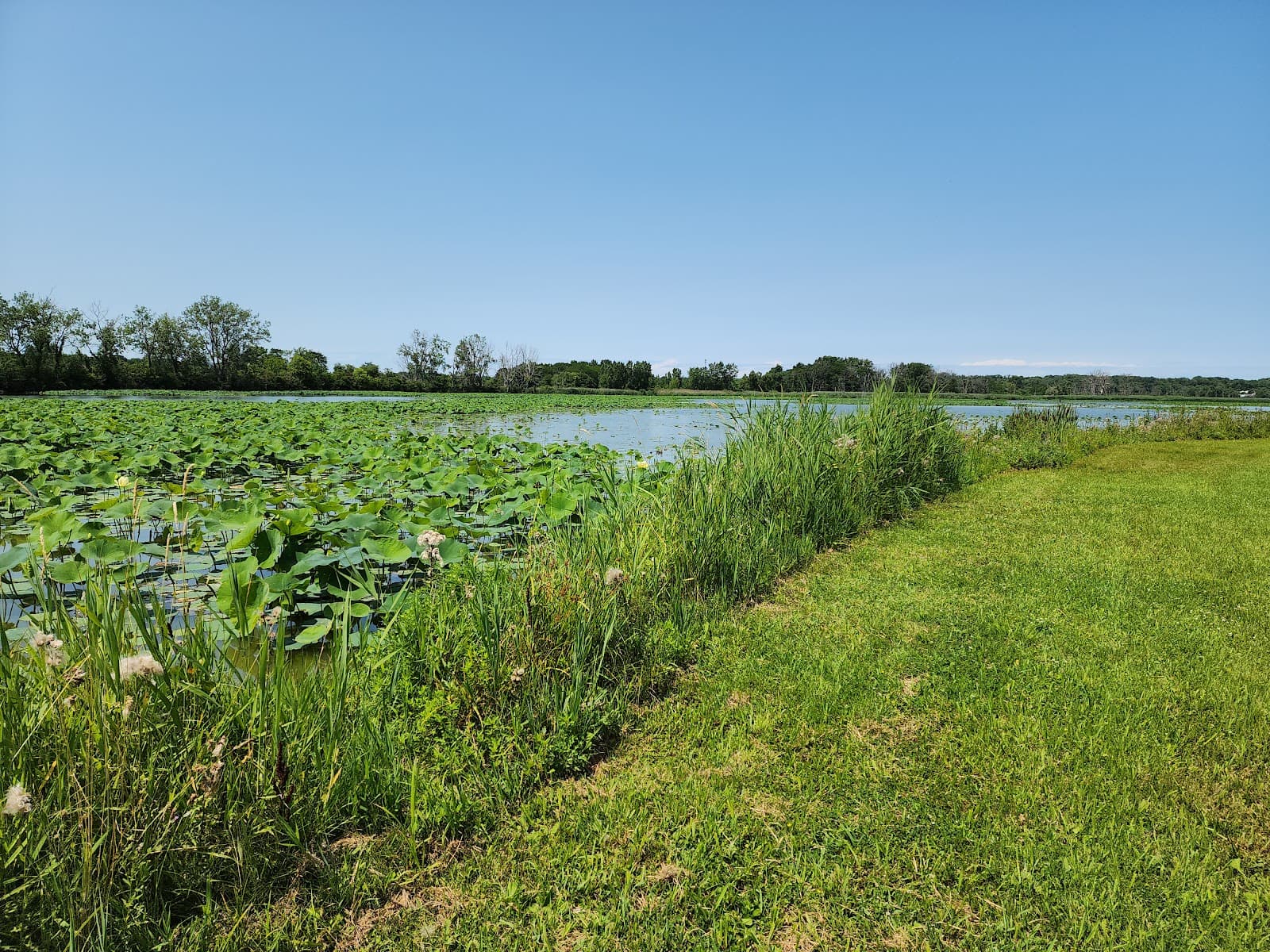 Meadowbrook Marsh Preserve - Image 1