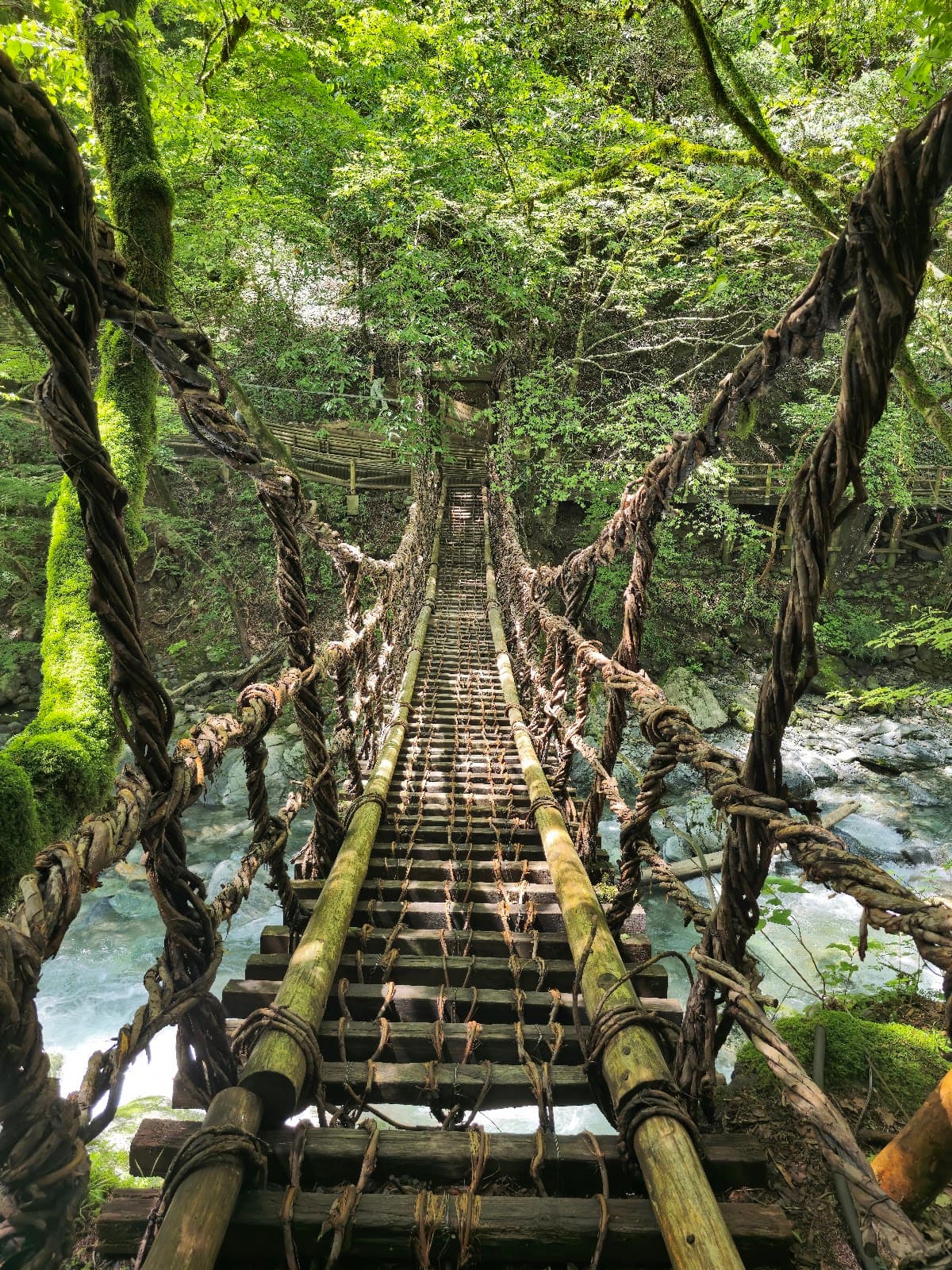 Oku-Iya Niju Kazurabashi - Image 1