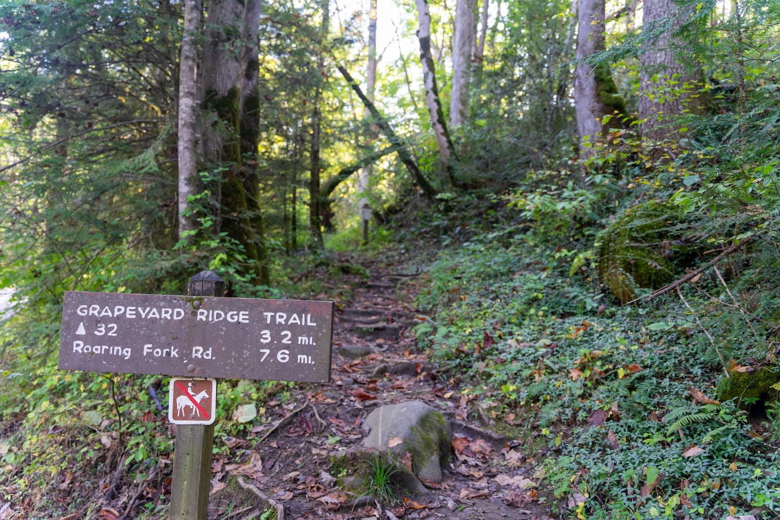 Grapeyard Ridge Trail - Image 1
