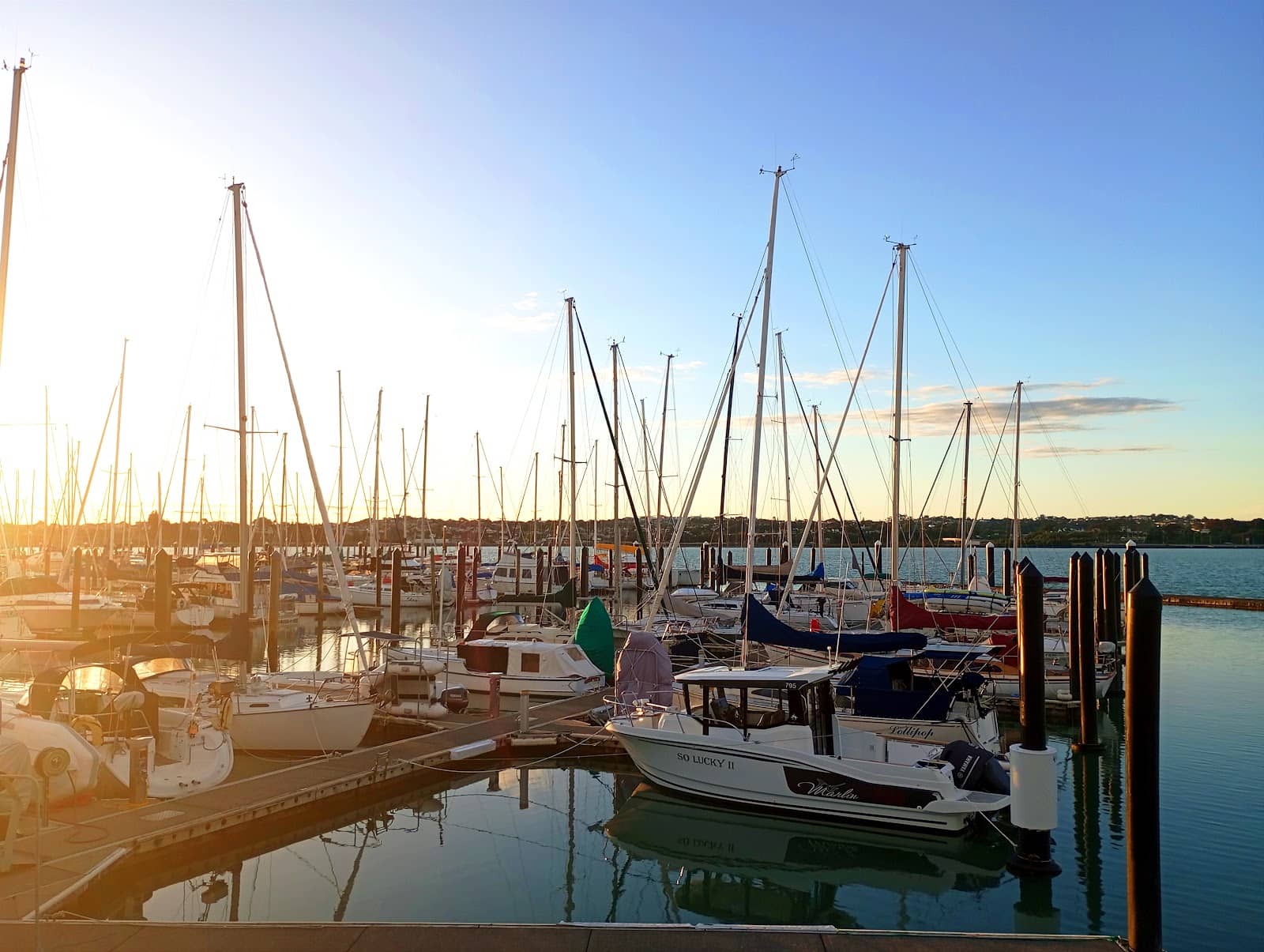 Yacht Spotting & Marina Atmosphere