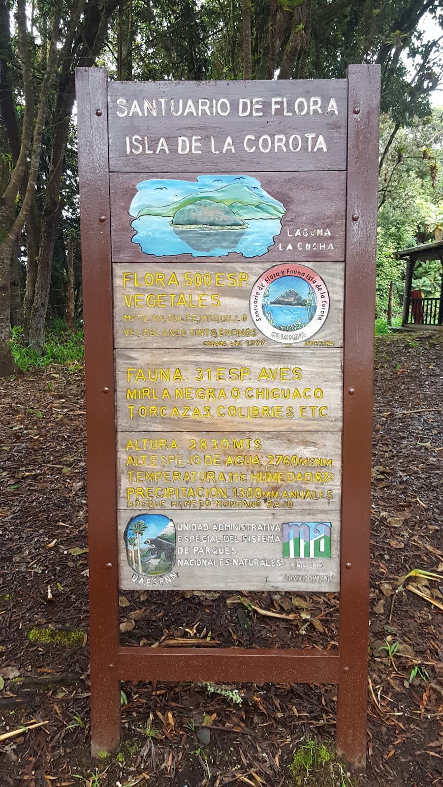 Isla La Corota Flora Sanctuary - Image 1