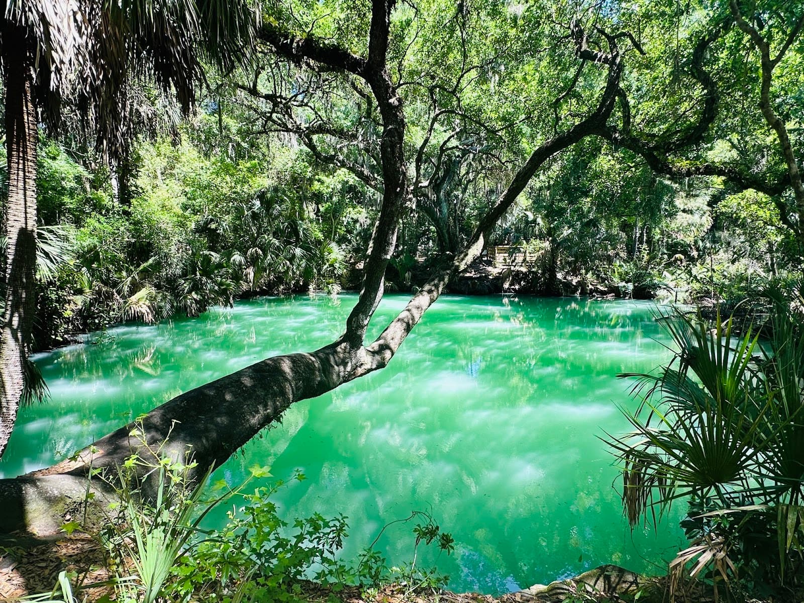 Green Springs Park - Image 1