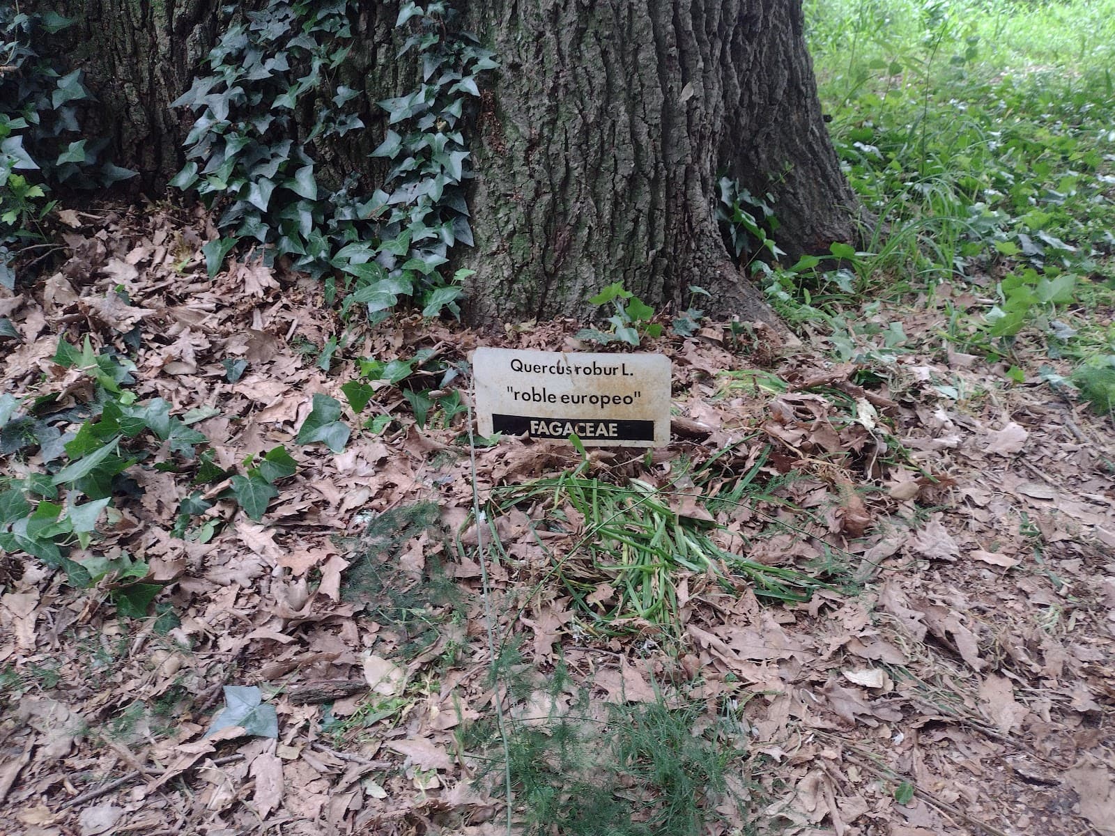 Bosque Botanical Garden - Image 1