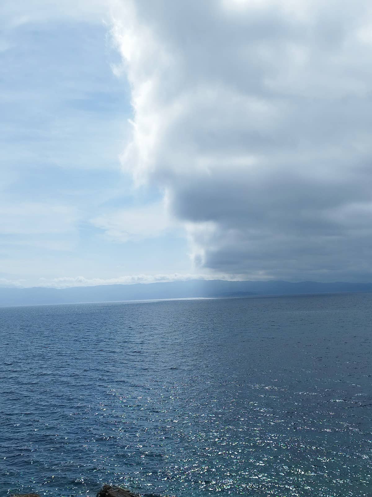 Vertical photo