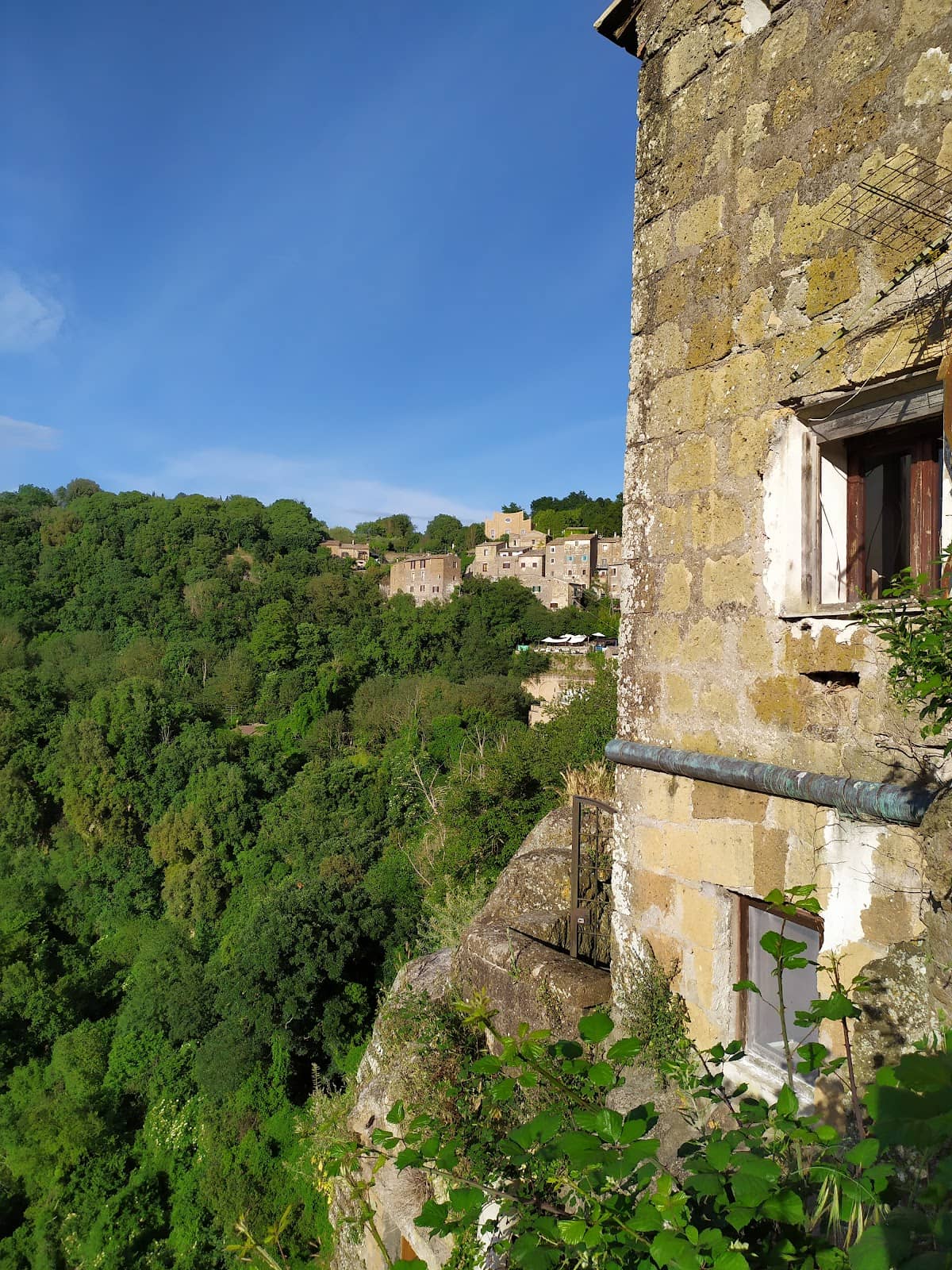 Vertical photo