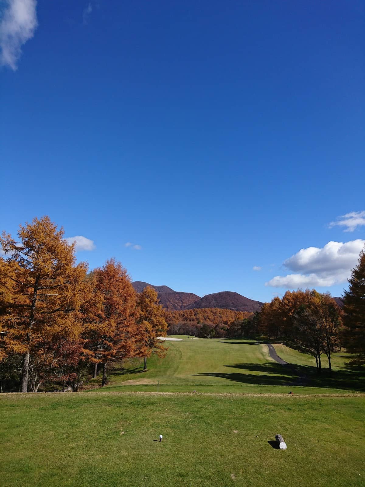 Vertical photo