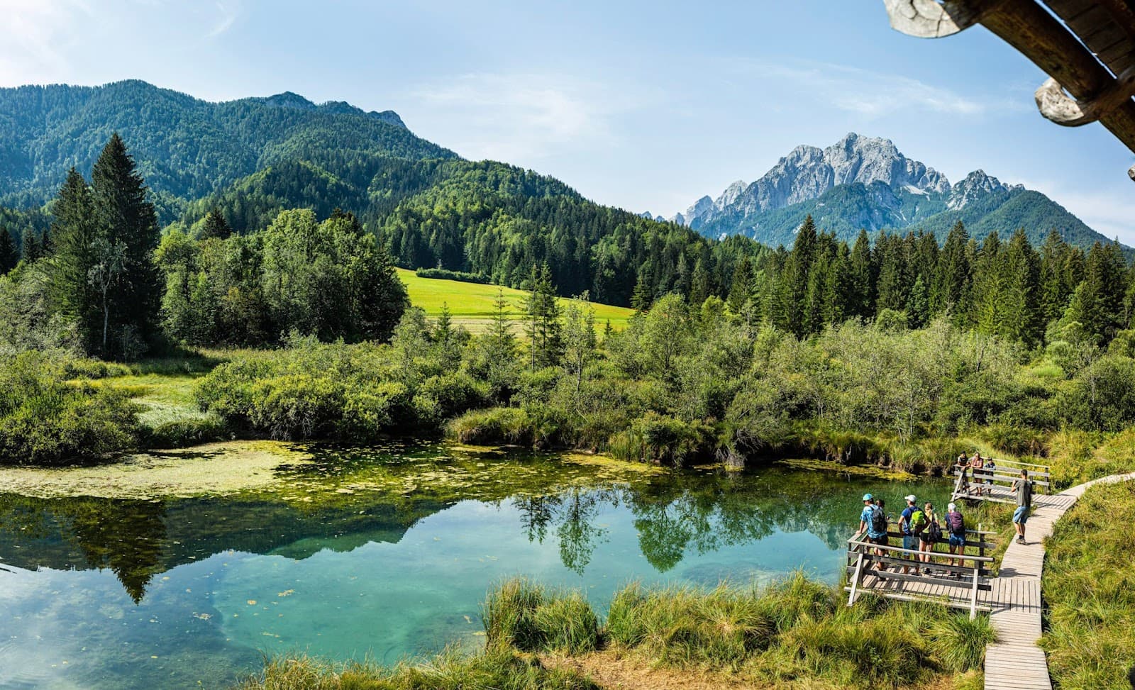 Sava Rivers Confluence Radovljica - Image 1