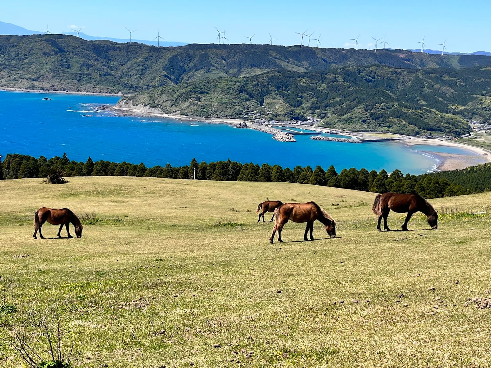 Cape Toi Miyazaki - Image 1