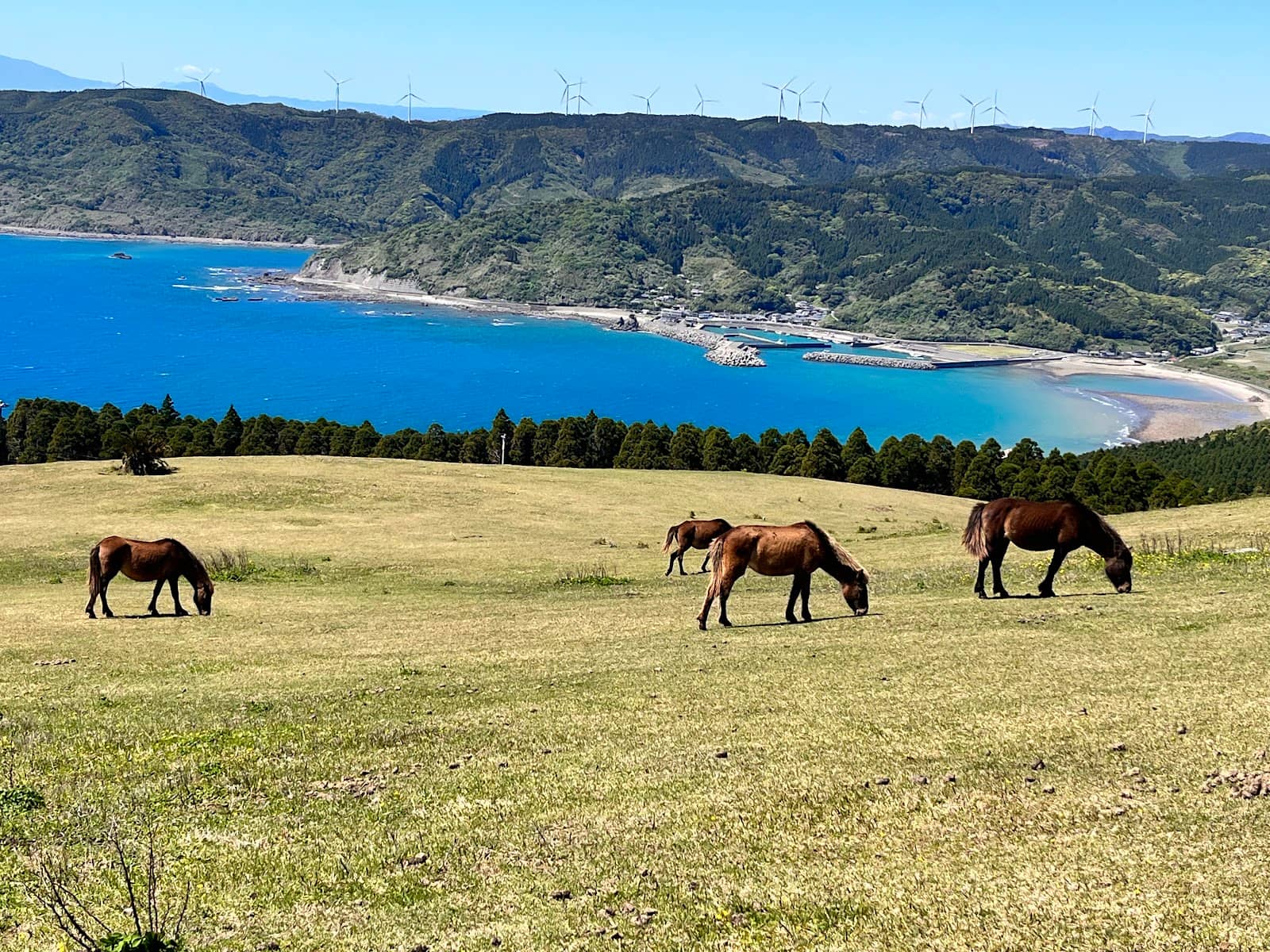 Nichinan Coastline Drive