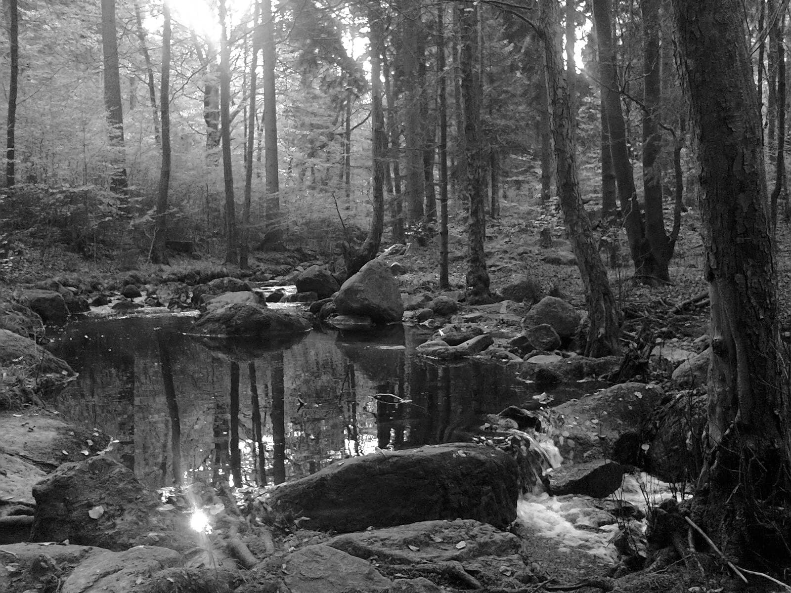 Steinerne Renne - Image 1