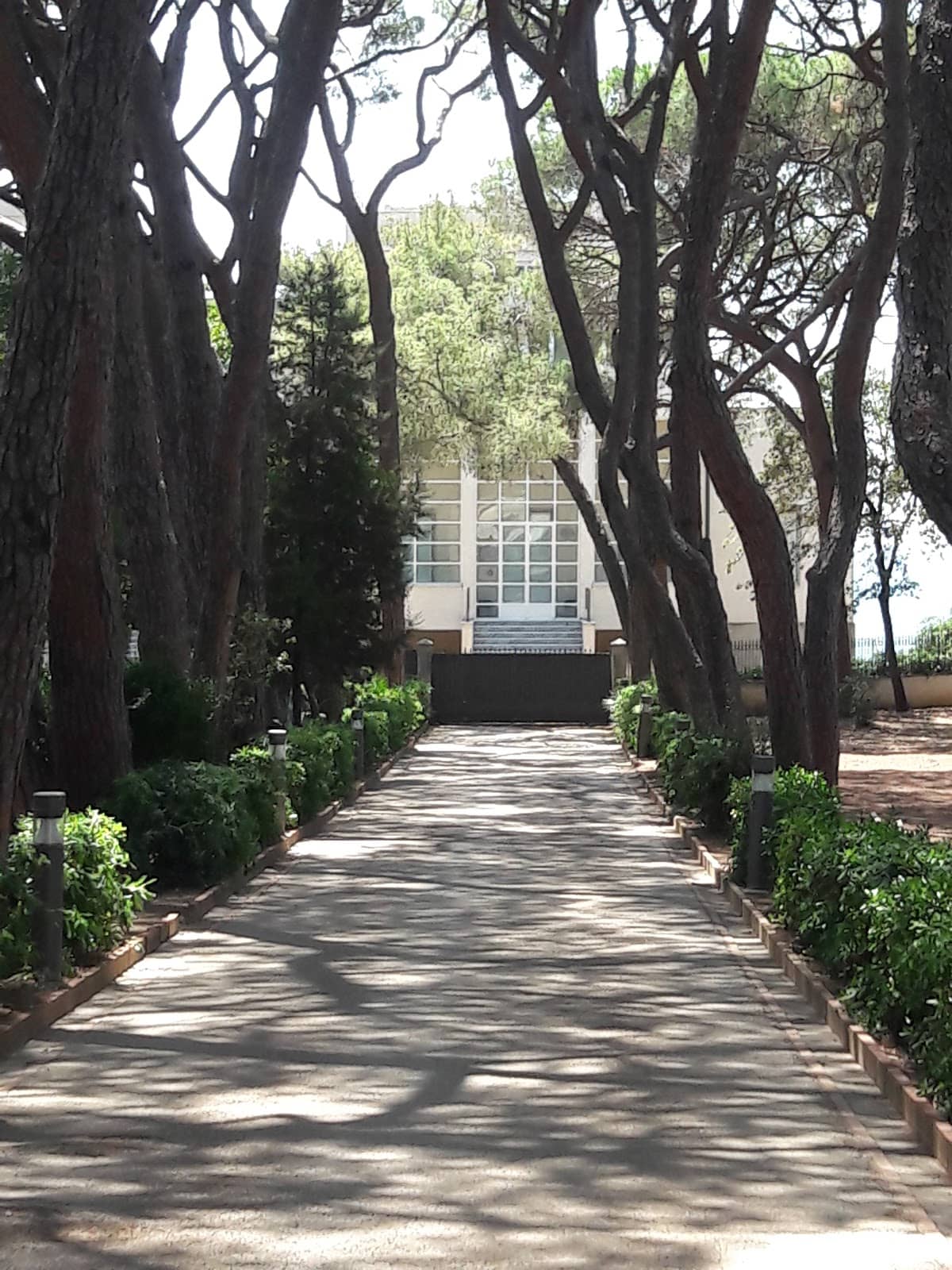 Summer Library (Biblioteca del Sole)