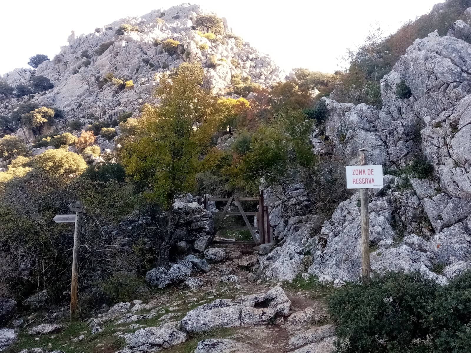 Tranquil Sierra de Libar Landscape